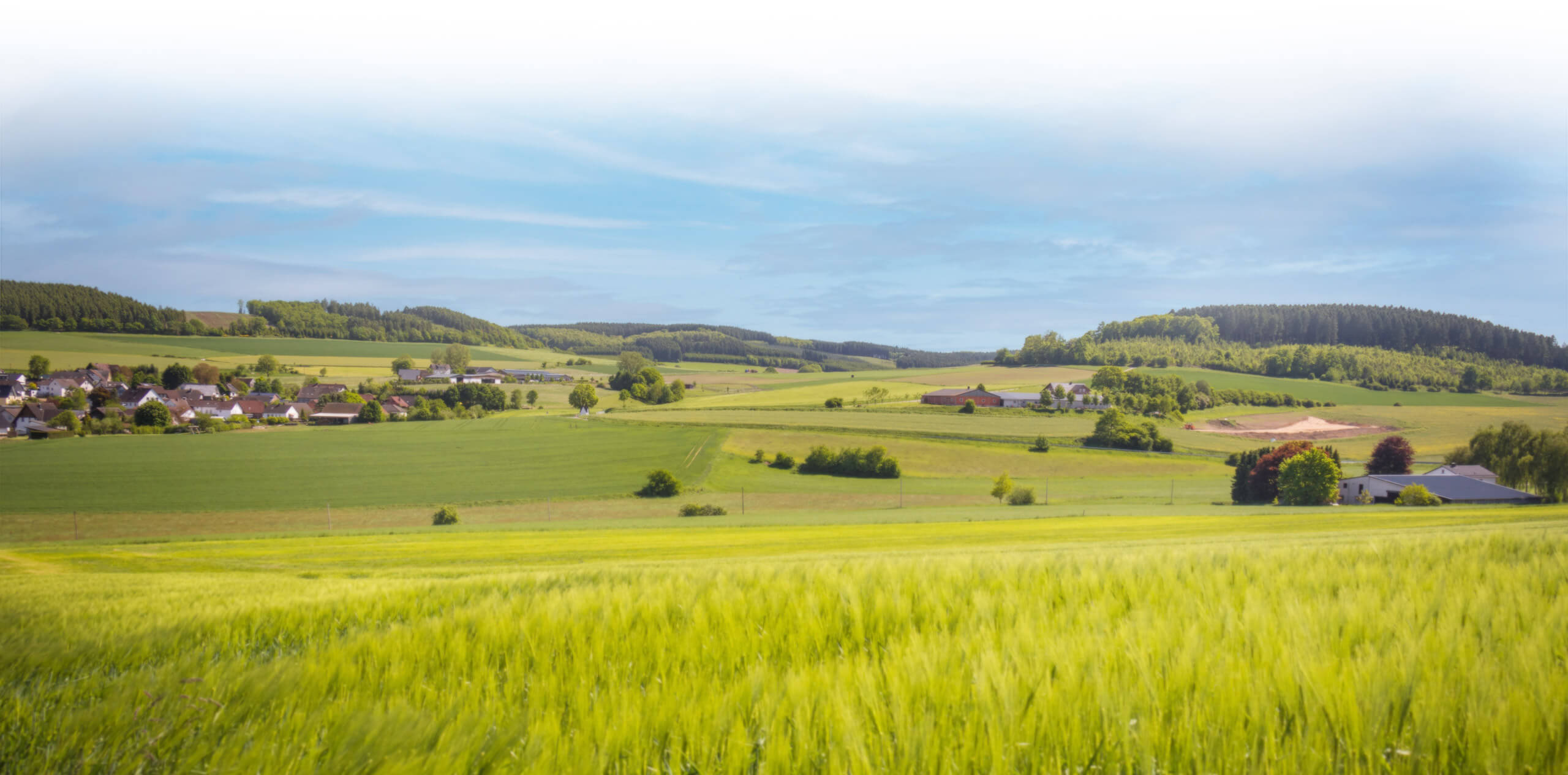 Neuenrade im Frühling